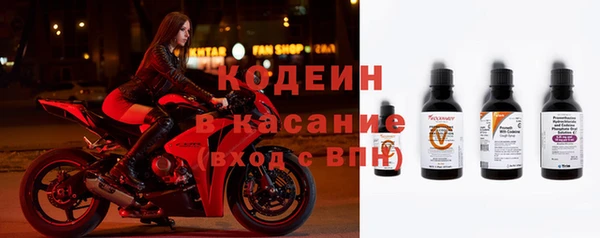 хмурый Новозыбков