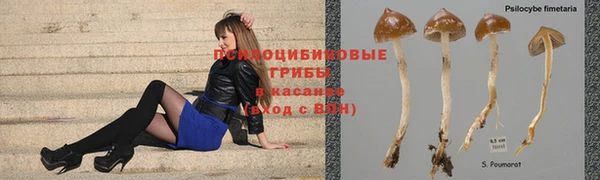ешки Нефтекумск