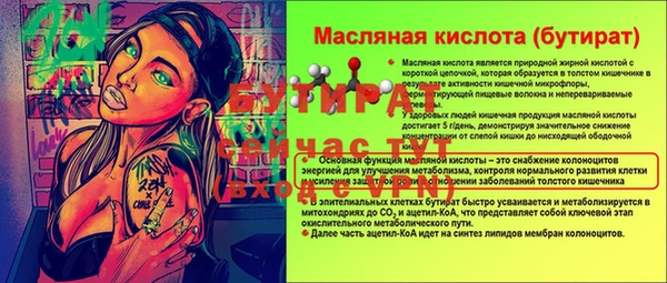 хмурый Новозыбков