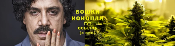 хмурый Новозыбков