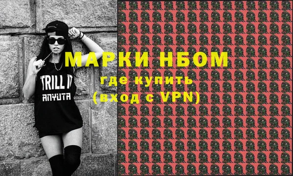 хмурый Новозыбков