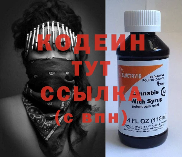 хмурый Новозыбков