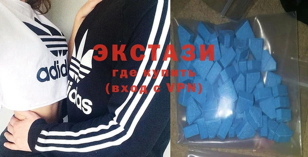 хмурый Новозыбков