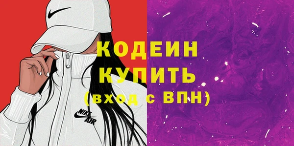 хмурый Новозыбков