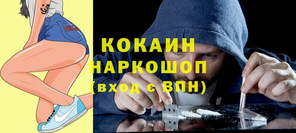 хмурый Новозыбков