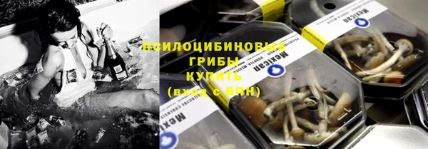 хмурый Новозыбков