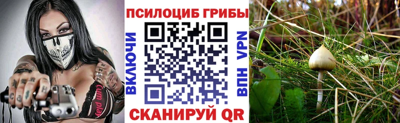 Псилоцибиновые грибы MAGIC MUSHROOMS  маркетплейс формула  Кимовск 