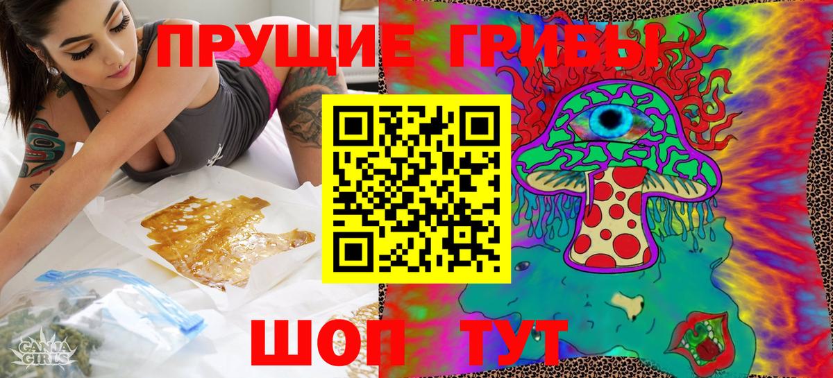 Псилоцибиновые грибы Psilocybe Кимовск