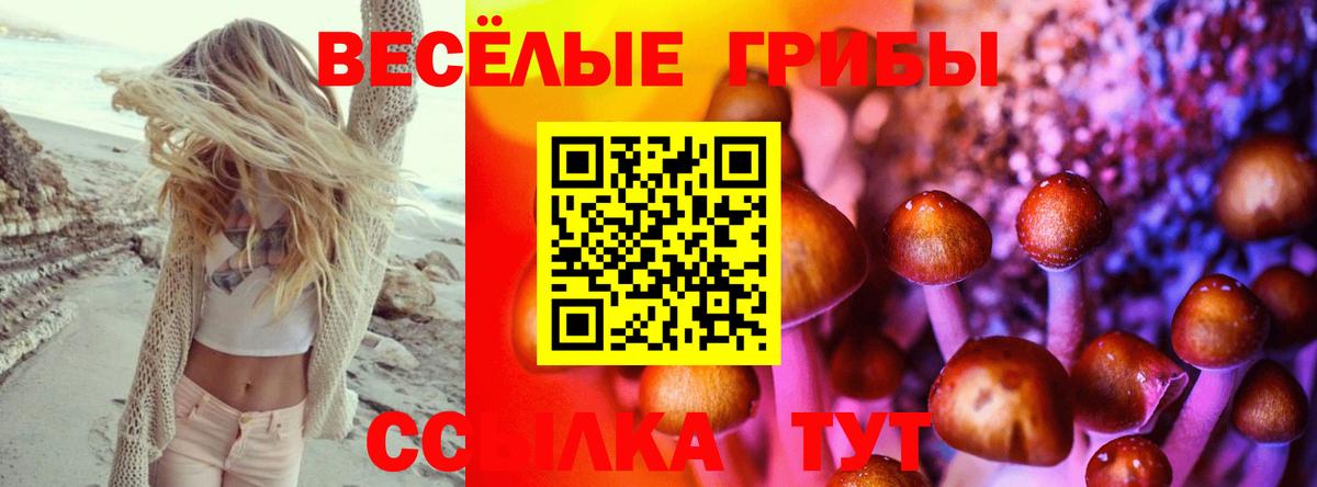 Галлюциногенные грибы Psilocybine cubensis  купить наркотик  Кимовск  Псилоцибиновые грибы ЛСД  Вход с VPN 