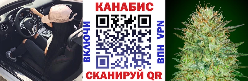 Шишки марихуана Amnesia  Кимовск 